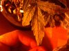 IMG_20120118_204618.jpg