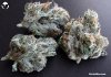__The501stOG_Buds2 (640x449).jpg __The501stOG_Buds2 (640x449).jpg
