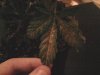 IMG_20120118_220906.jpg