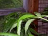 100_0751.jpg