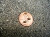DSC00055.jpg