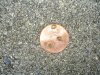 DSC00056.jpg