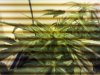 IMG_20120119_222322.jpg