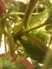 IMG_20120120_173648.jpg