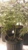 IMAG0146.jpg