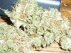 Grape Hash (2).JPG