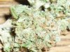 Grape Hash (6).JPG