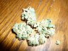 OG Private Reserve (6).JPG