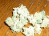 OG Private Reserve (9).JPG