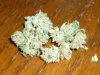 OG Private Reserve (10).JPG