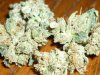 OG Private Reserve (11).JPG