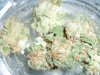 SkyWalker (3).JPG