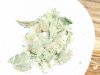 White Rhino (6).JPG