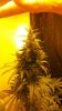 2012-01-22_19-20-03_564.jpg 2012-01-22_19-20-03_564.jpg