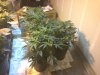 Restart wk2 day1 bloom Satis.jpg