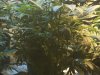 SC fill wk3 day1 bloom.jpg