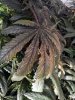20120125_091636.jpg