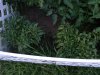 2008_08060013.JPG 2008_08060013.JPG