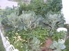 2008_08060012.JPG 2008_08060012.JPG