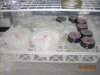 sterilized equip.JPG