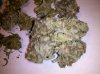 IMG_20120128_151039.jpg