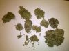 IMG_20120128_150948.jpg