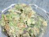 SuperSkunk #1 (2).JPG