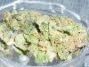SuperSkunk #1.JPG