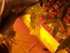 100_0554.jpg