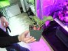 DSCN1050.jpg DSCN1050.jpg
