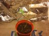 2012-02-03 02.32.53.jpg