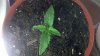 2012-01-25_11-05-58_541.jpg