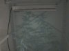 DSC00418.JPG