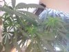 DSC01197.jpg