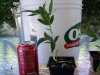 my clones 003.jpg