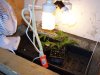 new indoor cfl veg 002.jpg