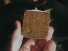 plants 022.jpg