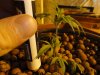 DSC01356.jpg