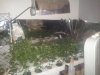2012-02-04194800.jpg 2012-02-04194800.jpg