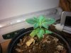 100_2306.jpg