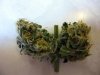 superbowlbud.jpg