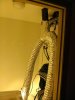 IMG_20120204_171419.jpg