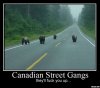 canadian-street-gangs-theyll-fuck-you-up.jpg
