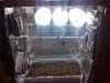 2012-01-30 20.32.59.jpg