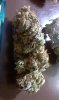 IMAG0446.jpg