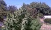 IMAG0676.jpg