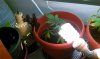 IMAG0230.jpg