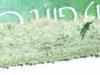 hash (4).JPG