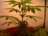 IMG00046-20120210-0951.jpg