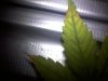 2012-02-10 12.35.52.jpg